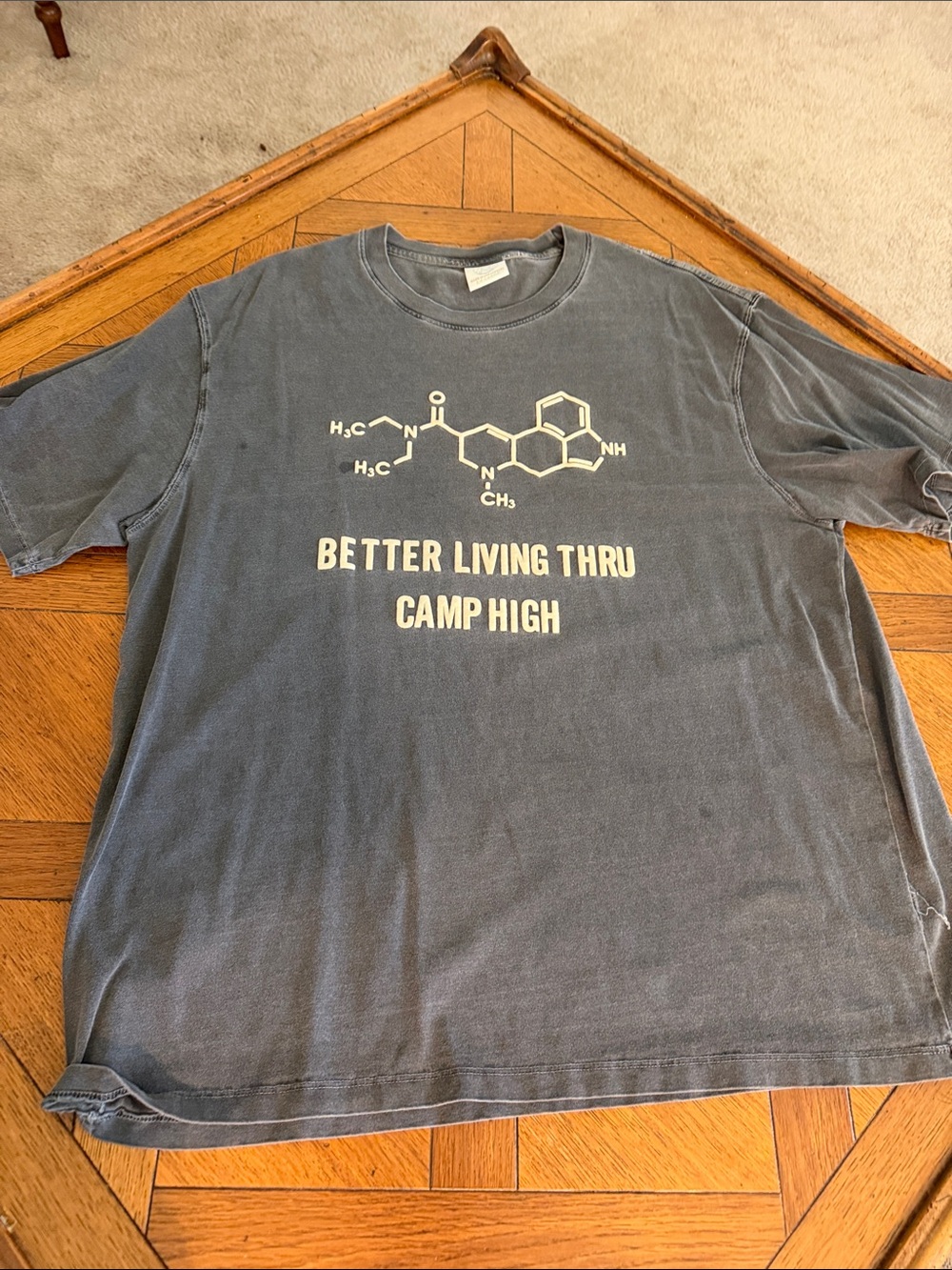 CAMP HIGHGraphic 'Better Living Thru Camp High' Tee - Faded Slate with StainsXXL